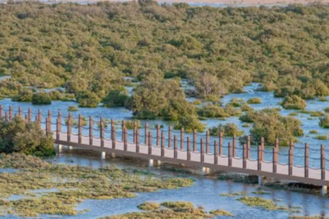 Nord-Katar: Führung durch den Mangrovenwald mit KajakfahrenNordkatar: Führung durch den Mangrovenwald mit Kajakfahren