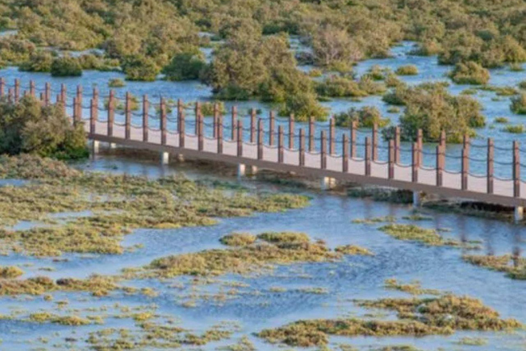 Nord-Katar: Führung durch den Mangrovenwald mit KajakfahrenNordkatar: Führung durch den Mangrovenwald mit Kajakfahren
