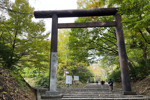 Sapporo: Sacred Shrine, Seafood Market &amp; Shiroi Koibito Park