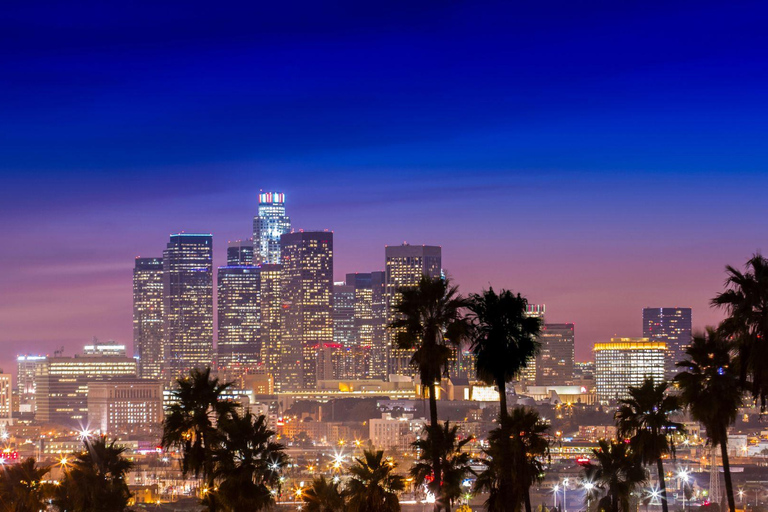 Le meilleur de Los Angeles : Visite à pied privée avec un habitantVisite privée de la ville à pied - 3Hr