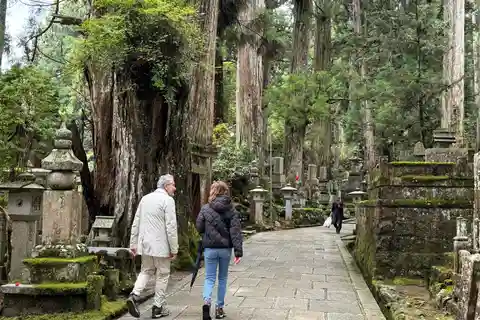 高野山奥の院霊園と弘法大師2時間ツアー