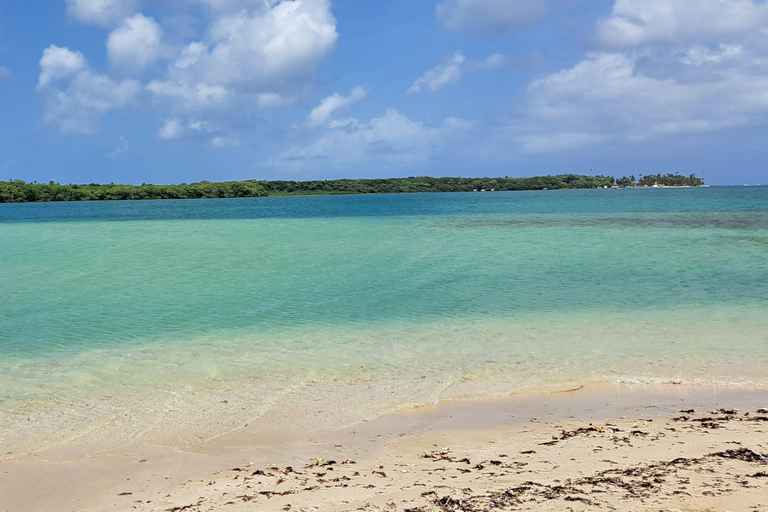 Glass Bottom Nylon Pool Tour in Buccoo Reef