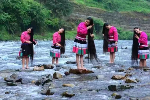 Longji Rice Terraces Flex Tour | Free Explore or Wide View Plan A: Longji Rice Terraces Self-Guided Day Trip