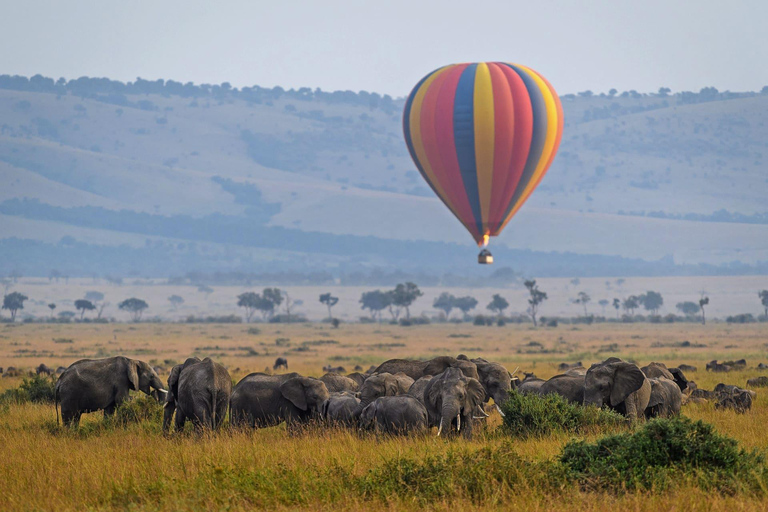 5-Day Masai Mara, Lake Nakuru, and Amboseli Tour