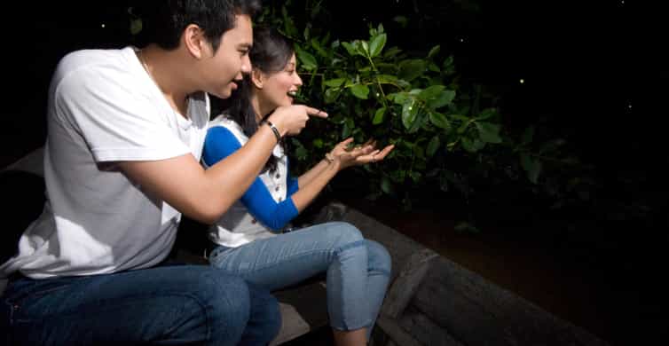 Kuala Lumpur: Fireflies & Blue Tears Tour with Seafood Meal