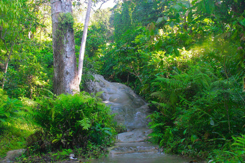 Chiang Mai: Sticky Waterfall by Local Truck with Market Stop Group Options