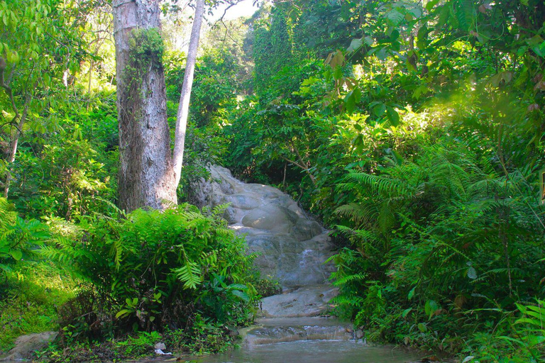 Chiang Mai: Sticky Waterfall by Local Truck with Market Stop Group Options