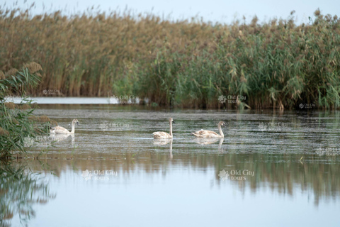 Shirvan Eco-Tour: Gazelles, Birdwatching & Village Lunch Private tour