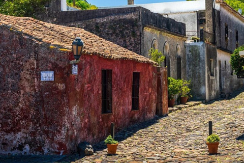 From Buenos Aires: Guided Day Tour to Colonia del Sacramento