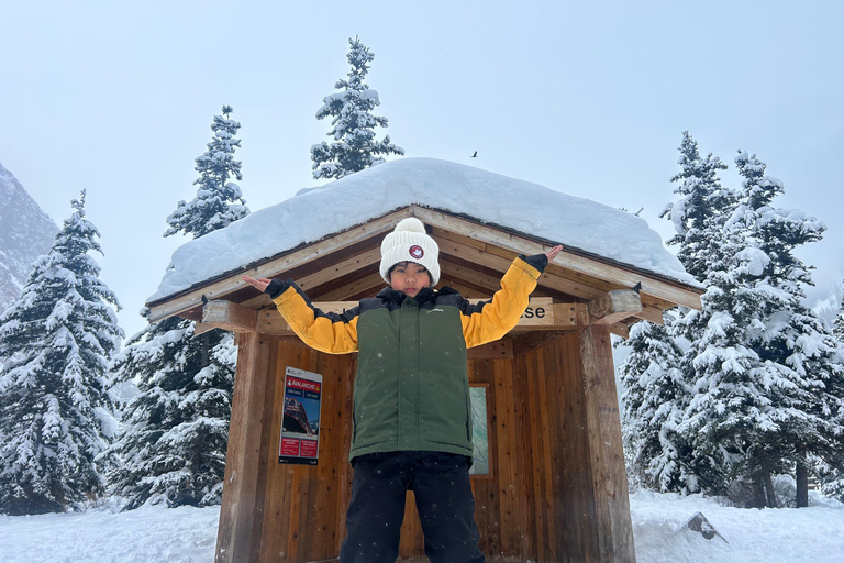 Banff/Calgary : Visite privée des parcs nationaux de Banff et de YohoDe Calgary