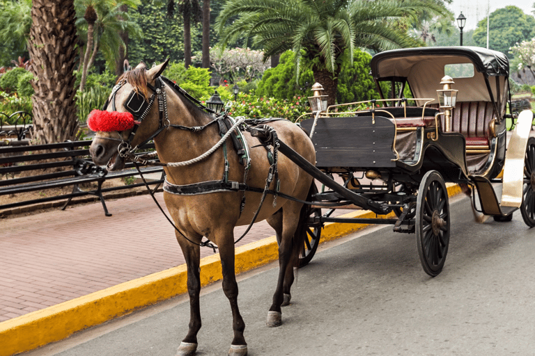 MANILLE : PROMENADE HISTORIQUE EN KALESA À INTRAMUROSCIRCUIT KALESA AVEC TRANSFERTS À L&#039;HÔTEL