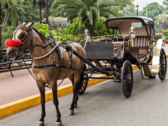 MANILA: HISTORICAL KALESA RIDE TOUR EXPERIENCE IN INTRAMUROS