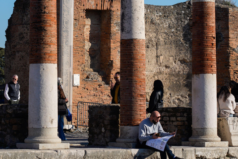From Sorrento: Pompeii Skip-the-Line, Train Tkt & Tour