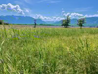 Guided tours in and around Murnau on the Staffel lake - Housity