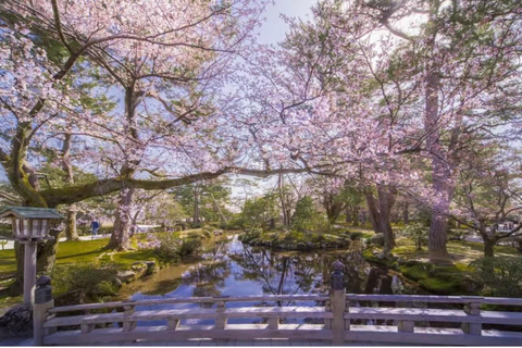 Yokohama: Kanazawa, Kaga Onsen, & Fukui 4-Day luxury Tour Full Pack best