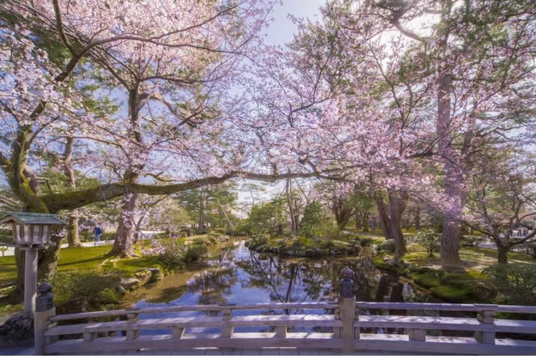 Yokohama: Kanazawa, Kaga Onsen, & Fukui 4-Day luxury Tour Full Pack best