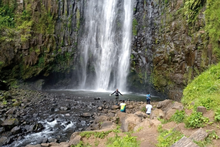 Materuni Waterfall & Coffee Tour from Moshi