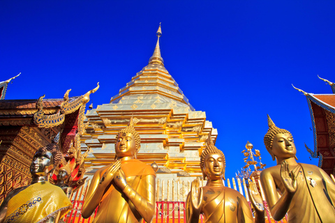 Private Tour Chiang Mai Entdecken Sie die versteckten Tempel des NordensChiang Mai entdecken: Der Charme der nördlichen Tempel enthüllen