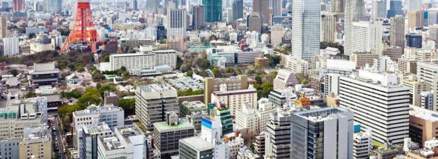 Depuis Yokohama : Tokyo avec un guide privé agréé