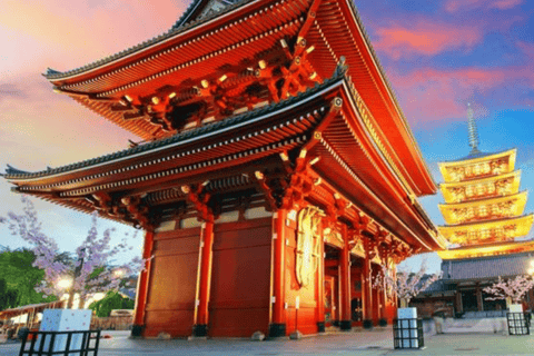Tokyo Full Day Private Customizable Tour with Guide