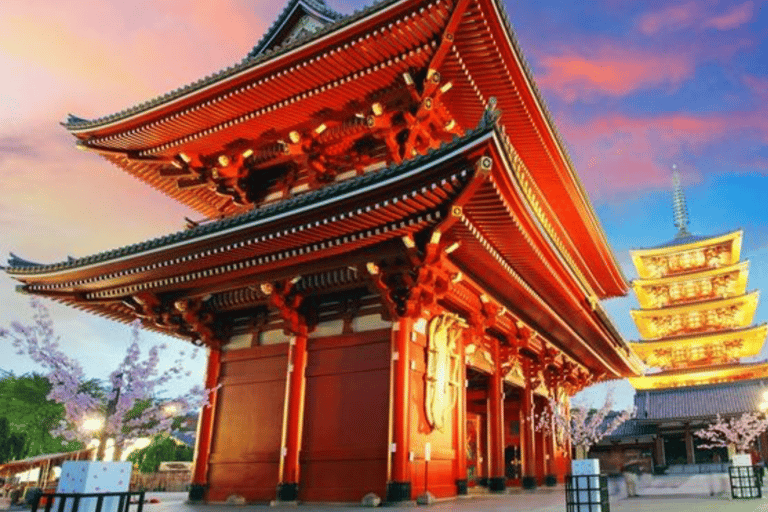 Tokyo Full Day Customizable Private Tour with English Guide