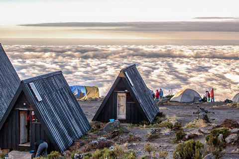 Kilimanjaro: 14-Day Climb and Zanzibar Island Retreat
