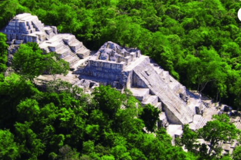 Palenque: Calakmul Tour: Mayan Ruins &amp; Wildlife Exploration