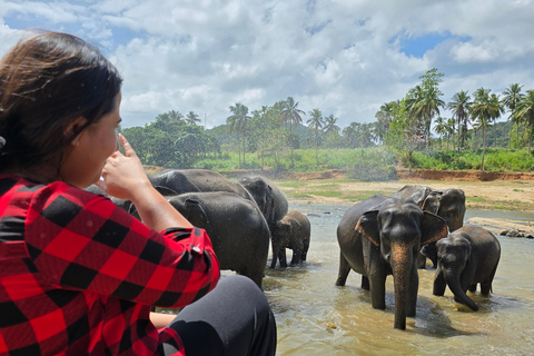 From Kandy: Pinnawala Elephants & Ambuluwawa Tower Day Tour From Kandy: Ambuluwawa Tower private tour by car/mini van 02