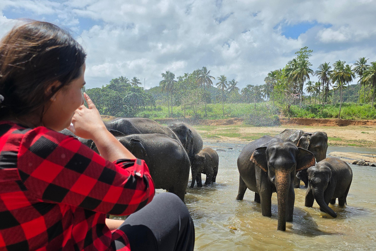 From Kandy: Pinnawala Elephants & Ambuluwawa Tower Day Tour From Kandy: Ambuluwawa Tower private tour by car/mini van 02