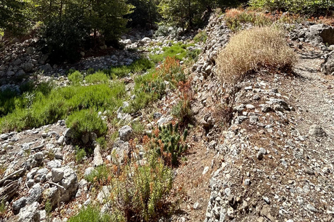 Agia Irini Schlucht &amp; Sougia Strand