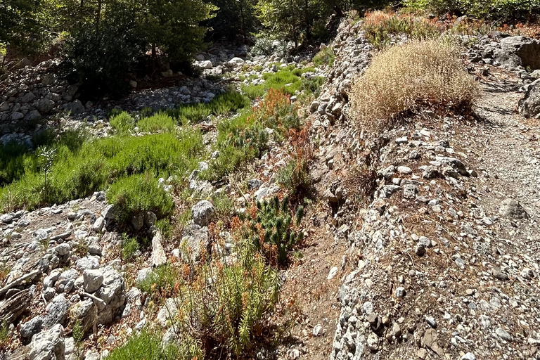 Agia Irini Schlucht &amp; Sougia Strand