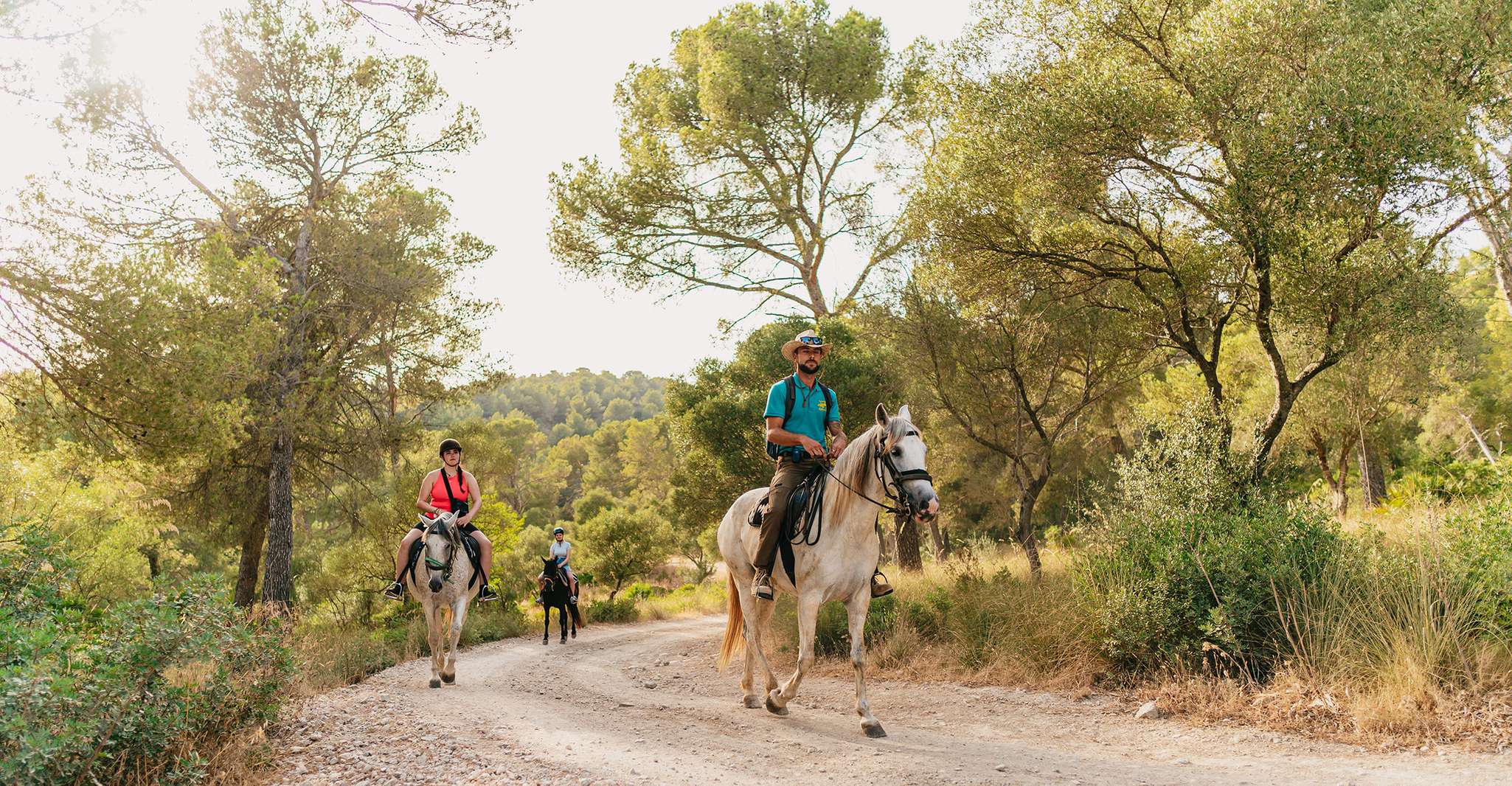 Maiorca, esperienza di equitazione di montagna con opzione brunch - Housity