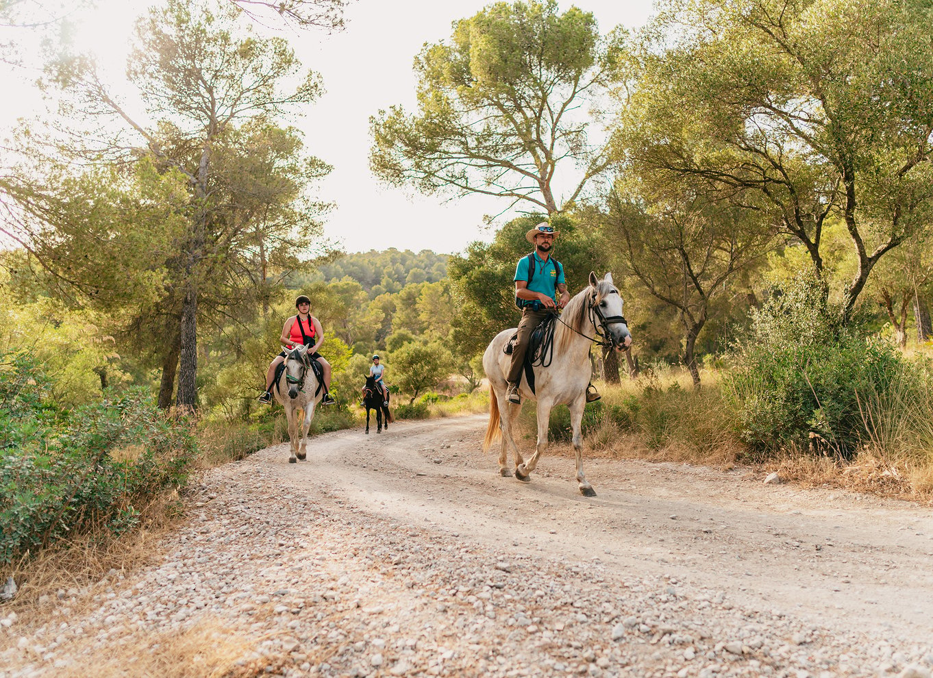 Mallorca: Oplevelse på hesteryg med mulighed for mad