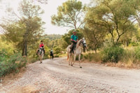 Mallorca, Mountain Horse Riding Experience met brunchoptie - Housity