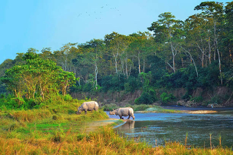 Ruta Katmandú-Pokhara-Ghandruk-Chitwan:10 noches/11 días de ruta.