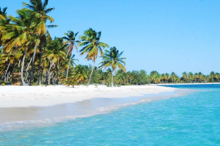 From Punta Cana: Saona Island Tour with BBQ Lunch
