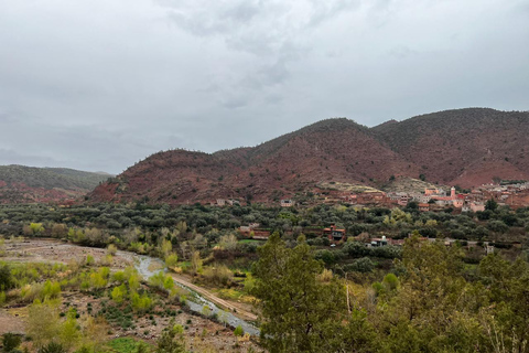 Desde Marrakech: montañas del Atlas, valle de Ourika y paseo en camello