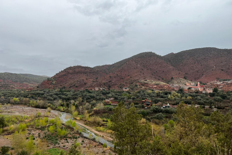 Desde Marrakech: montañas del Atlas, valle de Ourika y paseo en camello