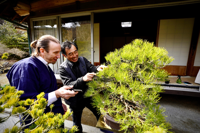 Hiroshima: Bonsai - A Gentle Journey into Nature’s Art