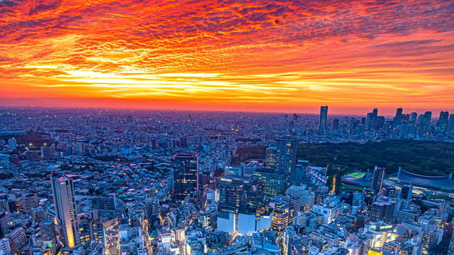 Tokyo Walking Tour: Explore Asakusa Temple & Shibuya Sky