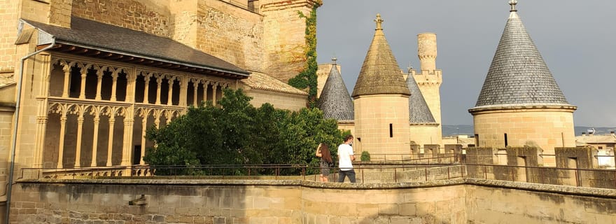 Route médiévale en Navarre : Olite, Ujué, château de Javier et monastère de Leire