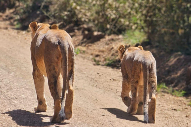 3 Days, 2 nights safari to Samburu National Reserve 3 Days private safari in a 4x4 Landcruiser jeep