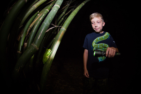 Cairns: nachtwandeling in de botanische tuin van Cairns