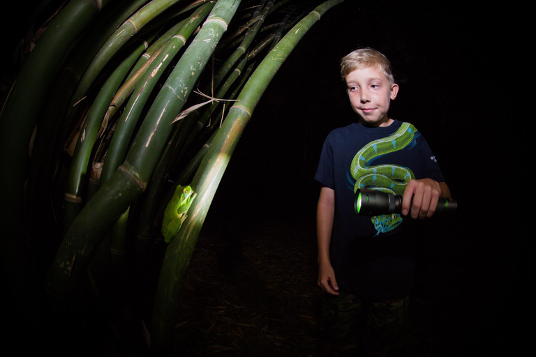 Cairns: promenade nocturne dans le jardin botanique de Cairns