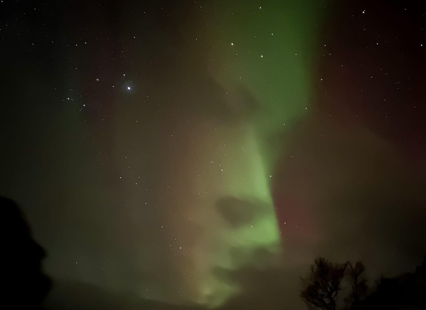 Harstad/Narvik/Tjeldsund: Nordlys-sightseeing i bil