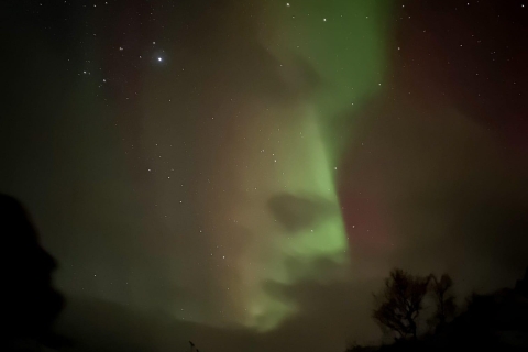 Harstad/Narvik/Tjeldsund: Northern Lights Sightseeing by Car