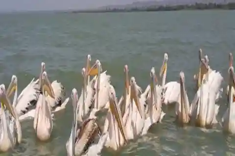 2 days visiting Lake Tana & Blue Nile Waterfall