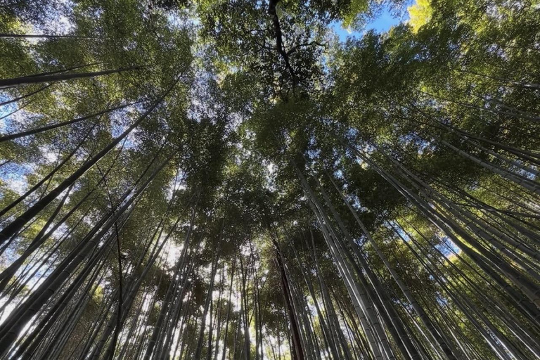 Kyoto: Private Tour with Nara included and English Driver