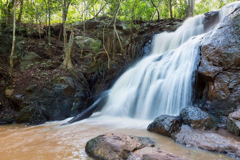 Karura Forest: Audio Film Trek & Picnic Paint