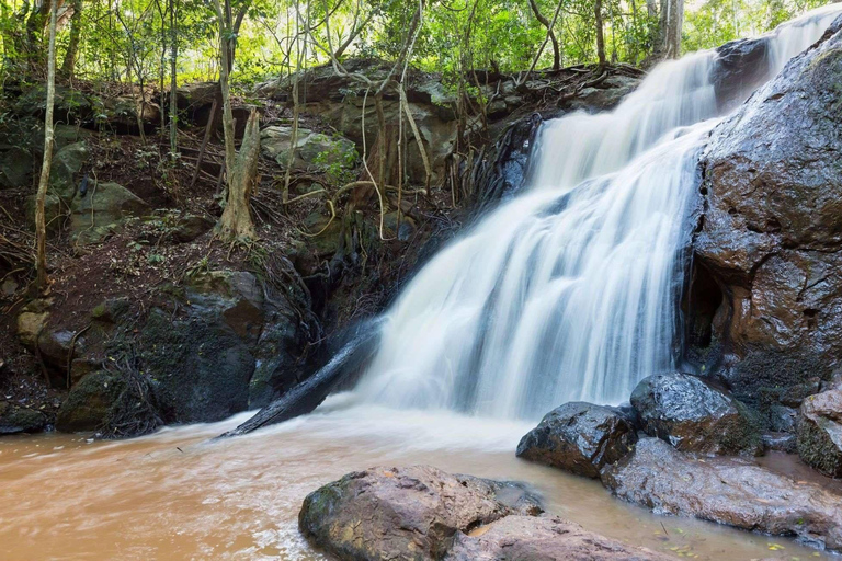 Karura Forest: Audio Film Trek & Picnic Paint